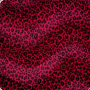 Red Cheetah